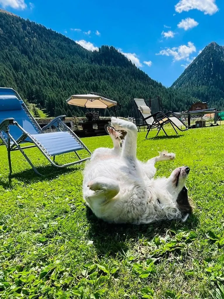 Chalet Sunshine Livigno Appartamento